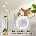 Gold Floor Lamp for Living Room With Shelves - Modern Mid Century Standing Light With 3 Adjustable LED Bird Lights, Corner Tall Lamp With Table, Brass Stand for Bedroom Kids Room