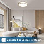 OOWOLF 2-Pack Dimmable 36W LED Ceiling Lights