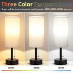 Fenmzee Bedside Table Lamps Set of 2-3 Color Temperatures Pull Chain Lamp with AC Outlet Charging Port, Small Round Night Stand Lamps for Bedroom Guest Room Office, Bed Side Light with E26 LED Bulbs