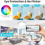 libtit 12 inch Flush Mount LED Ceiling Light Fixture, 3000K 4000K 6500K Adjustable, 28W 3200lm Brushed Nickel Satin Round Ceiling Lamp for Bathroom Hallway Kitchen Bedroom, 2 Pack