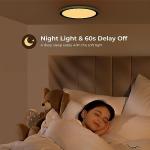 BLNAN RGB Led Flush Mount Ceiling Light with Remote Control, 13Inch 24W 2400LM 3000K-6500K Dimmable Color Changing Wired Light Fixture, Colorful for Bedroom Kids Room Party Festival, Black