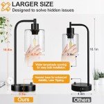 Set of 2 Industrial Table Lamps with 2 USB Port, Fully Stepless Dimmable Bedside Lamps for bedrooms, Nightstand Desk Lamps with Seeded Glass Shade for Reading Living Room Office 2 LED Bulb Included