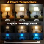 Ascher Small Bedside Table lamp Set of 2, RGB Color Changing Lamps, 3 Color Temperatures, Dimmable Nightstand Lamp with USB C+A Ports, Touch Desk Lamp for Bedroom Living Room, H11.4in(Flaxen Shade)