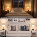 Ascher Small Bedside Table lamp Set of 2, RGB Color Changing Lamps, 3 Color Temperatures, Dimmable Nightstand Lamp with USB C+A Ports, Touch Desk Lamp for Bedroom Living Room, H11.4in(Flaxen Shade)