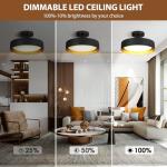 SunRider Semi Flush Mount Ceiling Lights, 12 Inch 25W LED Ceiling Light Fixture Black for Hallway Kitchen, Gold Inside, 5000K Daylight White, Dimmable