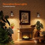 Bstrip Hanging Grow Lights for Indoor Plants, 25W Full Spectrum, 4H/9H/14H Timer, 3000K Wall-Mounted Decorative Plant Light with 9.8FT Power Cord, Ideal for Tall Plants, Flowers and Potted Trees