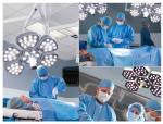 E700 Flower Single Dome Ceiling LED Surgical Light with Internal HD cam for Hospital and Clinic   Price Can Discuss