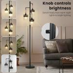 DMBOSS 69-inch Crystal Floor Lamp with Stepless Dimming, 3 LED Bulbs Included, Weighted Anti-Tip Base, Modern Black Crown Standing Lamp for Living Room, Bedroom, Office