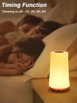 LED Night Light 13 Color Changing RGB Table Lamp Remote Control Touch Rechargeable RGB Night Lamp Dimmable Bedside Light