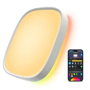 Govee Smart Ceiling Light, RGBIC LED Square Ceiling Light Fixture Works with Matter, 2400LM Flush Mount Light Fixture, DIY Colors, 2700K-6500K Dimmable for Bedroom, Living Room, 12 Inch, 1 Pack
