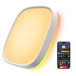 Govee Smart Ceiling Light, RGBIC LED Square Ceiling Light Fixture Works with Matter, 2400LM Flush Mount Light Fixture, DIY Colors, 2700K-6500K Dimmable for Bedroom, Living Room, 12 Inch, 1 Pack