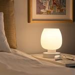 Touch Bedside Table Lamp - Small Lamp for Bedroom with USB C+A Charging Ports 3 Way Dimmable, Nightstand Desk lamp with White Opal Glass Lamp Shade Warm LED Bulb Included, Simple Design Gifts
