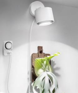 Barrina TR40a Track Grow Light for Indoor Plants, 40W Wall-Mounted Grow Bulbs with Adjustable Beam Angle (15°-60°), 5000K Full Spectrum Plant Spotlight with Timer & 16.4" Fabric Power Cord, 1-Pack