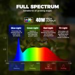 Barrina TR40a Track Grow Light for Indoor Plants, 40W Wall-Mounted Grow Bulbs with Adjustable Beam Angle (15°-60°), 5000K Full Spectrum Plant Spotlight with Timer & 16.4" Fabric Power Cord, 1-Pack