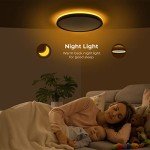 12-Inch Dimmable LED Flush Mount Ceiling Light