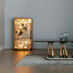 Light luxury arc glass wine cabinet villa high-end wall display cabinet luminous back panel living room