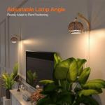 Bstrip Hanging Grow Lights for Indoor Plants, 18W Full Spectrum, Boho Rattan Lantern Shade, 3800K Wall-Mounted Decorative Plant Light with 9.8FT Power Cord, Ideal for Tall Plants, Flowers