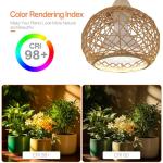 Bstrip Hanging Grow Lights for Indoor Plants, 18W Full Spectrum, Boho Rattan Lantern Shade, 3800K Wall-Mounted Decorative Plant Light with 9.8FT Power Cord, Ideal for Tall Plants, Flowers