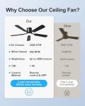 CubiCubi Ceiling Fans with Lights - 52 inch Black Ceiling Fan with Light and Remote/APP, Dimmable, Super Quiet, Modern Ceiling Fan for Indoor Bedroom, Living Room, Kitchen