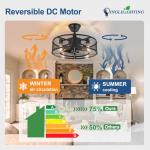 DLLT Caged Ceiling Fan with Light: 20" Farmhouse Fandelier with Light and Remote - Black Rustic Chandelier with Fan for Bedroon Kitchen Living Dining Room