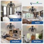 DLLT Caged Ceiling Fan with Light: 20" Farmhouse Fandelier with Light and Remote - Black Rustic Chandelier with Fan for Bedroon Kitchen Living Dining Room