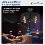 DLLT Caged Ceiling Fan with Light: 20" Farmhouse Fandelier with Light and Remote - Black Rustic Chandelier with Fan for Bedroon Kitchen Living Dining Room