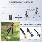 NEEWER Portable Desktop Mini Tripod Aluminum Alloy 20''/ 50cm Desk Tripod with 360 Degree Ball Head, 1/4 inch Quick Shoe Plate for DSLR Camera Video Camcorder, Load up to 11 pounds/5 kilograms