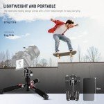NEEWER Portable Desktop Mini Tripod Aluminum Alloy 20''/ 50cm Desk Tripod with 360 Degree Ball Head, 1/4 inch Quick Shoe Plate for DSLR Camera Video Camcorder, Load up to 11 pounds/5 kilograms