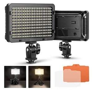 Neewer on Camera Video Light Photo Dimmable 176 LED Panel with 1/4" Thread for Canon, Nikon, Sony and Other DSLR Cameras, 5600K (Battery Not Included)