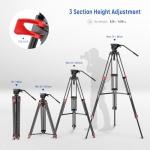 NEEWER Basic 74" Video Tripod with Fluid Head , Metal Camera Tripod with Smooth Friction Damping, Mid Level Spreader, Quick Release Plate Compatible with Manfrotto 501, Max Load 17.6lb, TP37