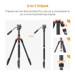 K&F Concept 83 inch/211cm Camera Video Tripod for DSLR Compact Aluminum Tripod with Fluid Head and 5KG Load for Travel and Work K234A7+FH-03