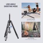 NEEWER LITETRIP LT32 62" Travel Tripod Carbon Fiber with ±15° Leveling 360° Panorama Head, Detachable Center Axis, Fast Flip Buckle, Arca QR Plate Compatible with Peak Design Capture V3, (Former TP62)