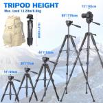 Camera Tripod, 74" DSLR Camera Tripod with 2 QR Plates for Sony/Nikon/Canon, Lightweight Video Tripod Stand for Travelling, Phone Tripod with Fluid Head/Phone Holder/Wireless Remote Max.Load 6kg