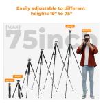 K&F CONCEPT 75 inch/190cm Camera Tripod,Lightweight Travel Outdoor DSLR Tripods with 360 Degree Ball Head Load Capacity 8kg/17.6lbs,Cellphone Clip and Remote Control for Smartphone S255A3+BH-36