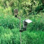 Stealth Cam Adjustable 29"-49" Expandable Height 1/4" Tripod Multi-Pivot Stable Rugged Steel Hunting Trail Camera & Solar Pak Battery Mounting Post