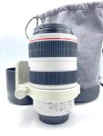 Canon Telephoto Zoom Lens for EOS Cameras