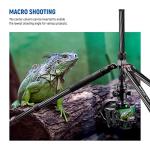 NEEWER Upgraded 80.7" Carbon Fiber Camera Tripod Monopod with Telescopic 2 Section Center Axes, 360° Panorama Ballhead, 1/4" Arca Type QR Plate, Travel Tripod with ø28mm Column, Max Load 26.5lb, N55CR