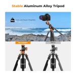 K&F CONCEPT 90''/230cm Overhead Camera Tripod, Horizontal Shooting Video Tripods with Fluid Head Heavy Duty 10KG Load Capacity, Detachable Monopod, for Indoor and Outdoor Use T254A7+FH-03