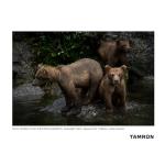 Tamron 150-500mm F/5-6.7 Di III VC VXD for Nikon Z Mount Mirrorless Cameras