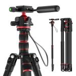 NEEWER Basics Camera Tripod Monopod, 77" Compact Lightweight Travel DSLR Video Stand, 360° Ball Head, Arca Type QR Plate, Reversible Legs & Inverted Central Axis, 13lb Max Load, TP08