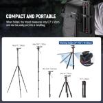 NEEWER Basics Camera Tripod Monopod, 77" Compact Lightweight Travel DSLR Video Stand, 360° Ball Head, Arca Type QR Plate, Reversible Legs & Inverted Central Axis, 13lb Max Load, TP08