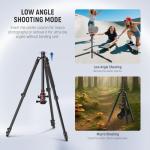 NEEWER Basics Camera Tripod Monopod, 77" Compact Lightweight Travel DSLR Video Stand, 360° Ball Head, Arca Type QR Plate, Reversible Legs & Inverted Central Axis, 13lb Max Load, TP08