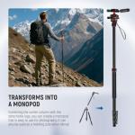 NEEWER Basics Camera Tripod Monopod, 77" Compact Lightweight Travel DSLR Video Stand, 360° Ball Head, Arca Type QR Plate, Reversible Legs & Inverted Central Axis, 13lb Max Load, TP08
