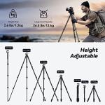 SmallRig AP-10 Carbon Fiber Tripod, 52.4" Lightweight Compact Camera Tripod with Detachable Monopod, 360° Ball Head, Quick Release Plate, Payload 26.5 lbs, for Canon for Sony, DSLR Camera, Phone-4060