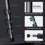 SmallRig AP-10 Carbon Fiber Tripod, 52.4" Lightweight Compact Camera Tripod with Detachable Monopod, 360° Ball Head, Quick Release Plate, Payload 26.5 lbs, for Canon for Sony, DSLR Camera, Phone-4060