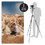 Manfrotto Befree 3-Way Live Advanced 4-Section Tripod with Befree 3-Way Live Head