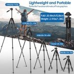 75" Camera Tripod, Tripod for iPhone ipad, Aluminum Professional Heavy Duty Camera Tripod Stand with Wireless Remote/Carry Bag Compatible with DSLR/SLR/DV/GoPro (Black)