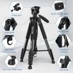 75" Camera Tripod, Tripod for iPhone ipad, Aluminum Professional Heavy Duty Camera Tripod Stand with Wireless Remote/Carry Bag Compatible with DSLR/SLR/DV/GoPro (Black)