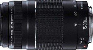 Canon EF 75-300mm f/4-5.6 III Telephoto Zoom Lens for Canon SLR Cameras (Renewed)