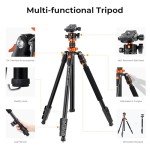 K&F Concept 78 inch Camera Tripod for DSLR Compact Aluminum Tripod with 360 Degree Ball Head and 10KG Load for Travel and Work K234A7+BH-28L (S210)